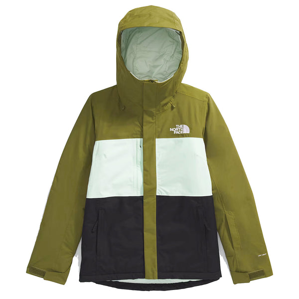 The North Face Women's Freedom Insulated Jacket | Winter Jackets